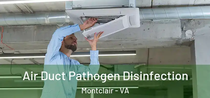 Air Duct Pathogen Disinfection Montclair - VA