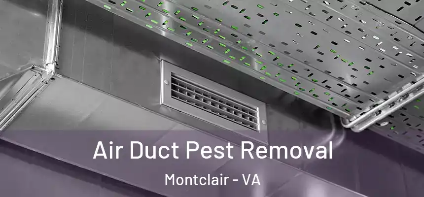  Air Duct Pest Removal Montclair - VA