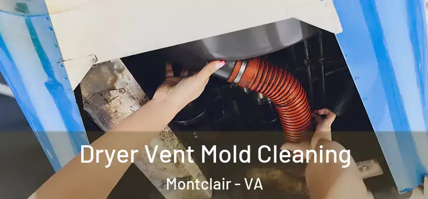  Dryer Vent Mold Cleaning Montclair - VA