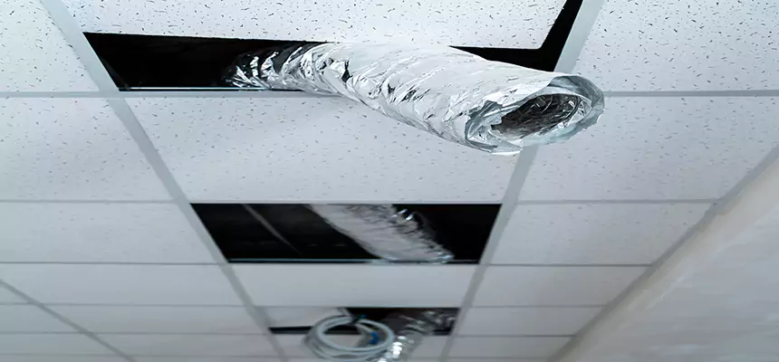 Affordable HVAC Sanitizing After Pest Removal in Montclair