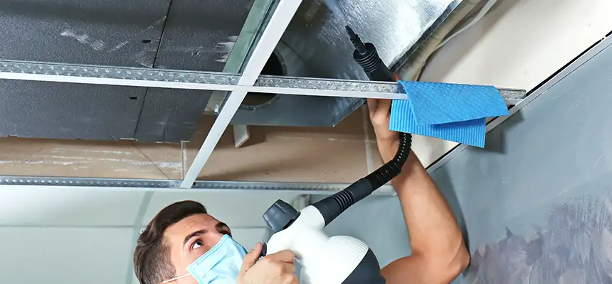 Our Air Duct Rodent Removal Services in Montclair, VA