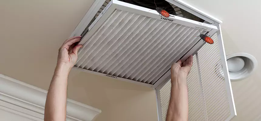 Our Insect Removal from Air Ducts Services in Montclair, VA