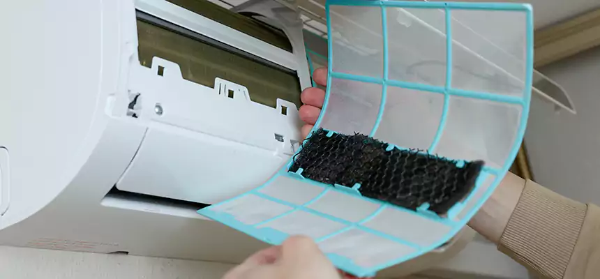 Gentle Ductwork Odor-Control Pet Dander Duct Cleaning in Montclair, VA