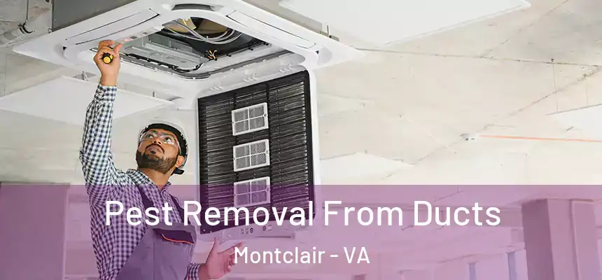 Pest Removal From Ducts Montclair - VA
