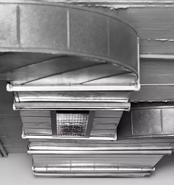 Professional Air Duct Pest Removal in Montclair, VA