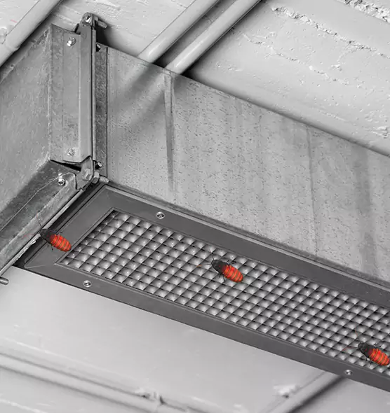 Affordable Insect Removal from Air Ducts in Montclair, VA