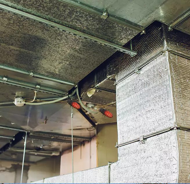 Why Homeowners & Businesses Trust Us in Montclair, VA?