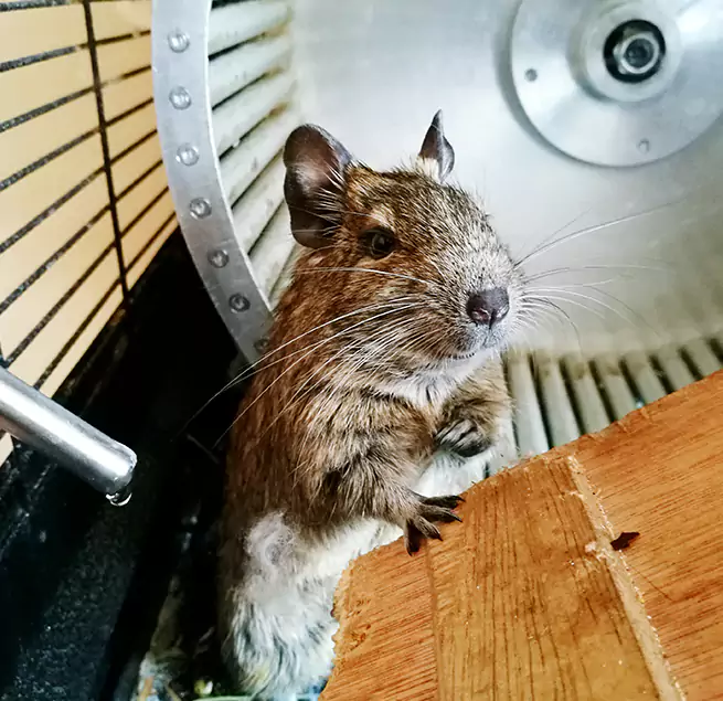 Why Homeowners & Businesses Trust Us Montclair, VA